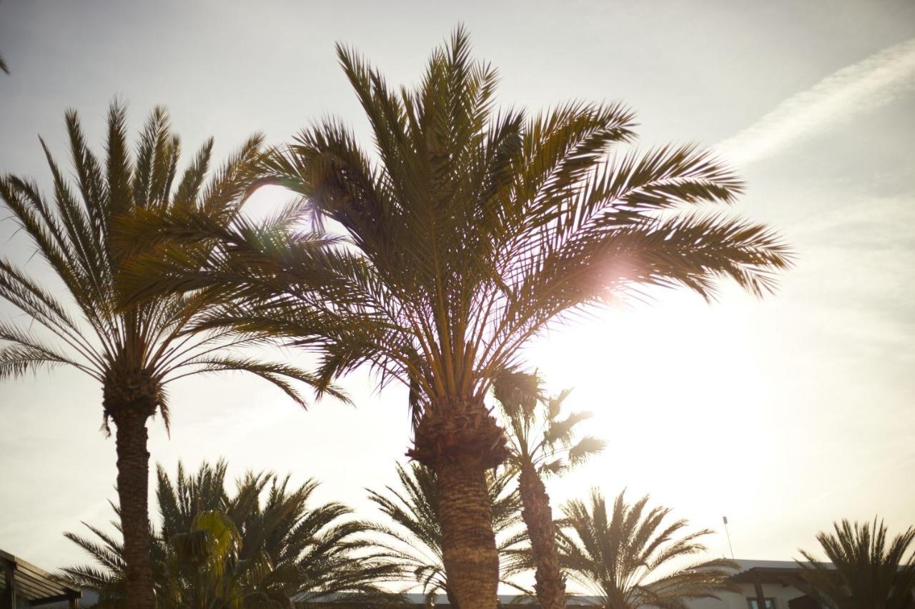 Secrets Lanzarote Resort & Spa - Adults Only Puerto Calero Luaran gambar Palm trees in the desert